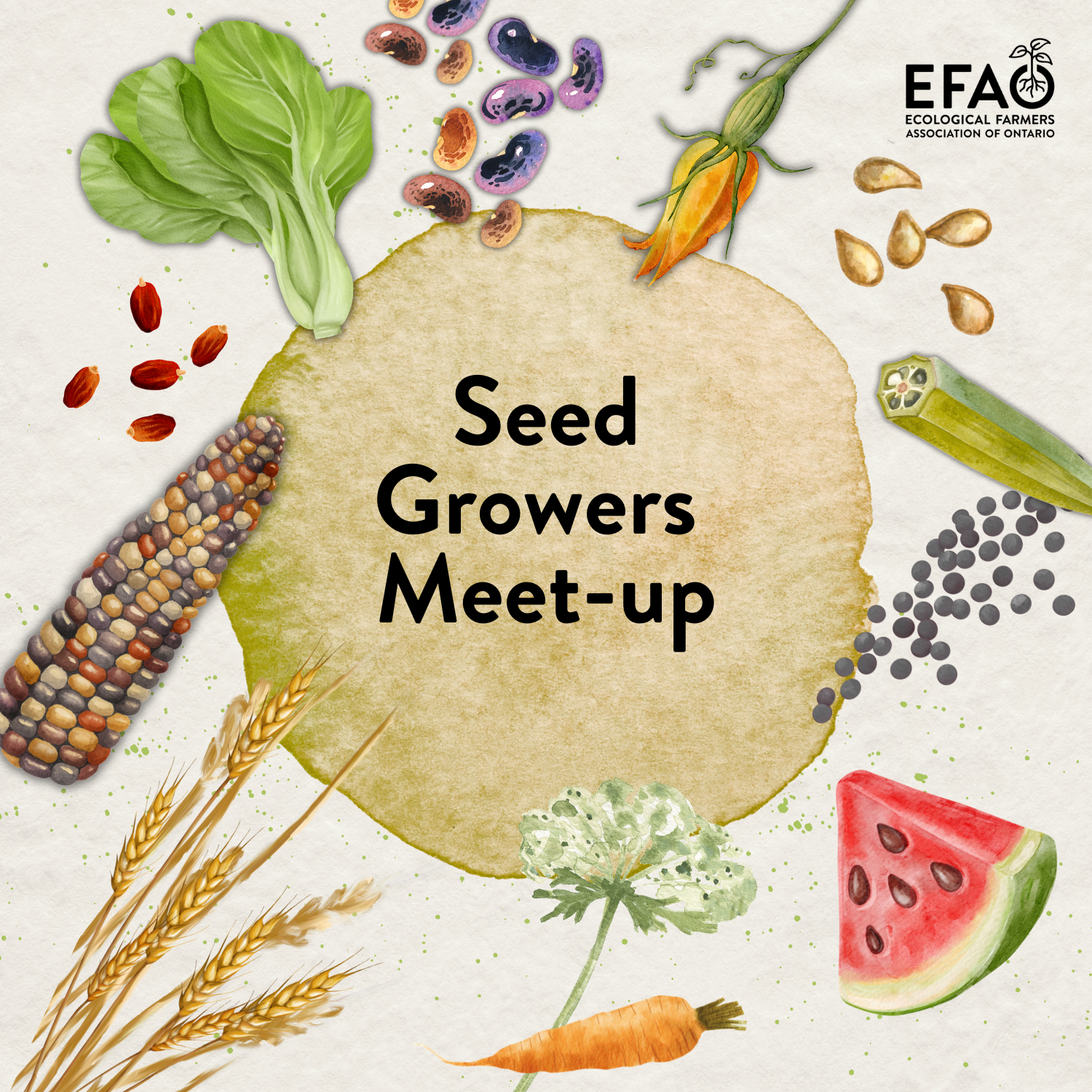A collage of stylized seeds, grains, fruit and vegetables surround a beige circle in the centre of the image, with black text reading "seed growers meet-up"