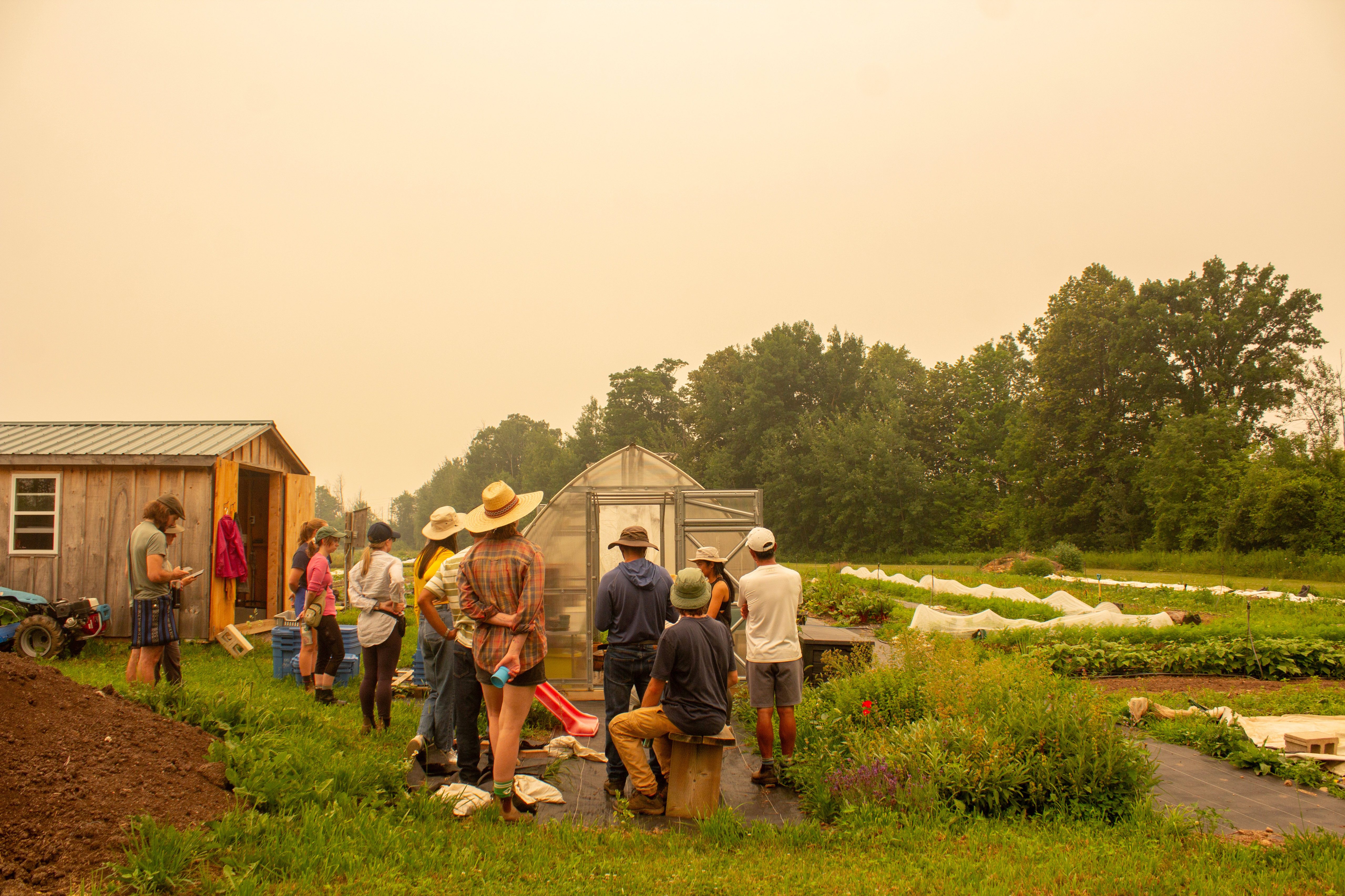 Photo of participants looking at a greenhouse at Carabao Fields