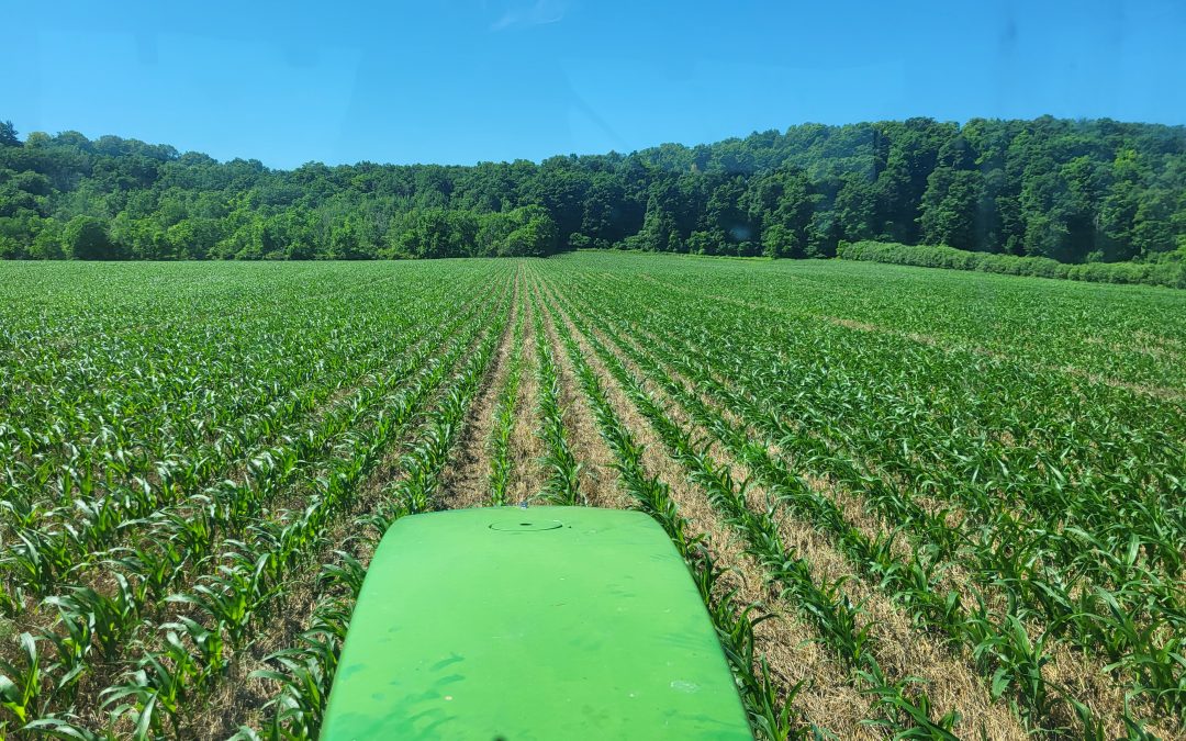 Efficacy of Advancing Eco Agriculture (AEA) products as an alternative fertilizer source for field corn