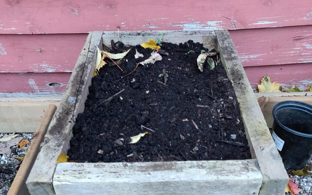 Build Your Own Air Pruning Beds