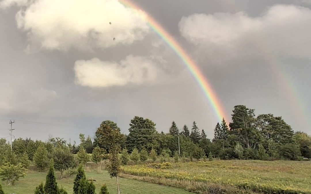 Culture Camp Tour with Johl Whiteduck