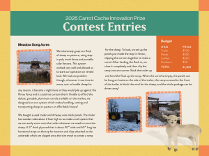 We intensively graze our flock of sheep on pasture, using step-in poly mesh fence and portable solar fencers. This system worked very well and allowed us to start our operation on rented land. We had one problem though, whenever it was time to move, sort or handle sheep for any reason, it became a nightmare as they would pile up against the flimsy fence and it could not contain them! Unable to afford the deluxe, portable, aluminum corrals available on the market, we designed our own system which makes handling, sorting and transporting sheep on pasture an affordable breeze! We bought a used trailer and 4 heavy wire mesh panels. The trailer has wooden sides about 2 feet high so we made a rail system that we can easily screw onto the trailer whenever we need to move the sheep. A 2" thick plywood that is about 30" wide and 60" long has horizontal strips on the top for traction and clips attached to the underside which are clipped onto the wire mesh to create a ramp for the sheep. To load, we set up the panels just inside the step-in fence, clipping the corners together to make a corral. After herding the flock in, we close it completely and then clip the ramp into one corner. Back the trailer up and herd the flock up the ramp. When the corral is empty, the panels can be hung on hooks on the side of the trailer, the ramp screwed to the front of the trailer to block the wind for the sheep, and the whole package can be driven away!