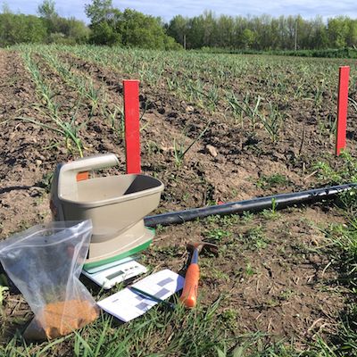 A trial field of garlic staked out with red stakes sprouts up in spring. A hand seeder, bag of seed and some notes sit in the foreground