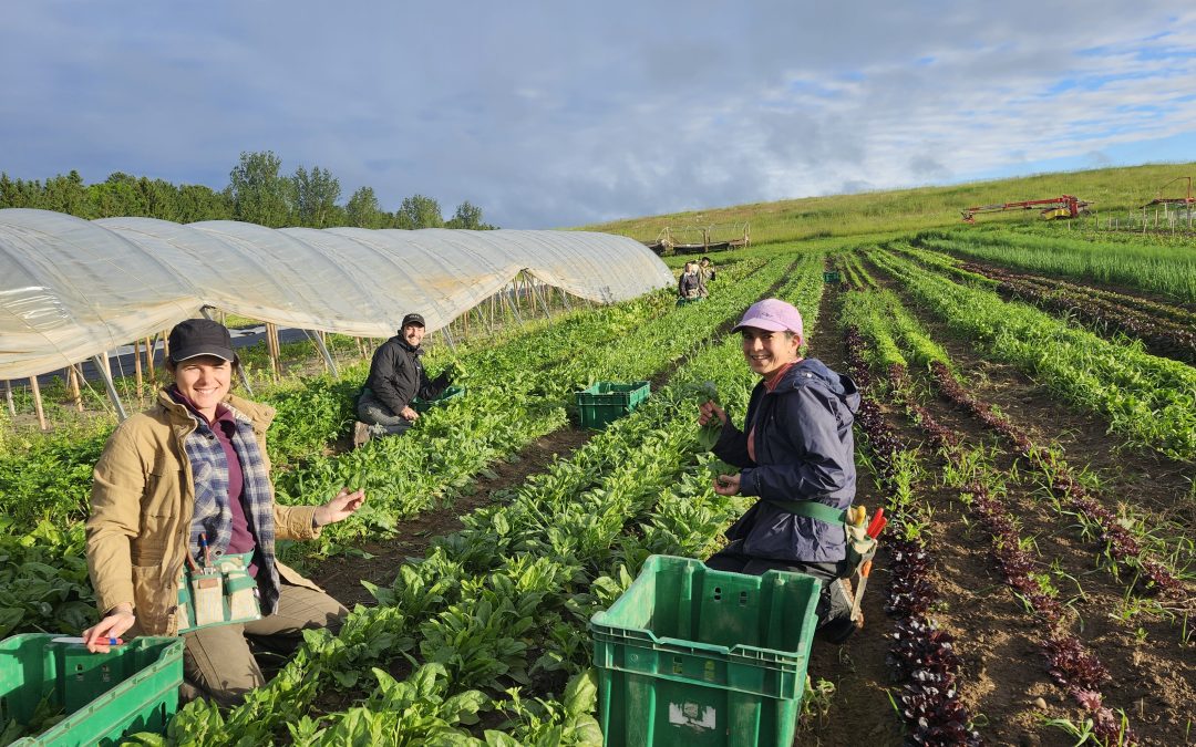 Young Farmer Potluck at Fertile Ground Farm