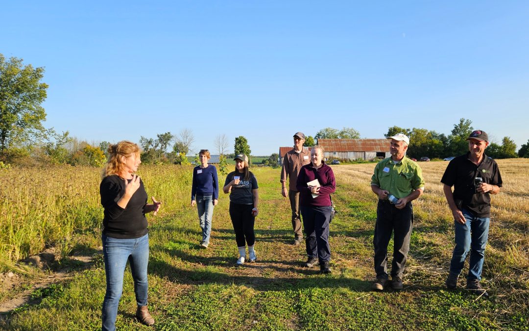 Soil Connections at Springfield Farm