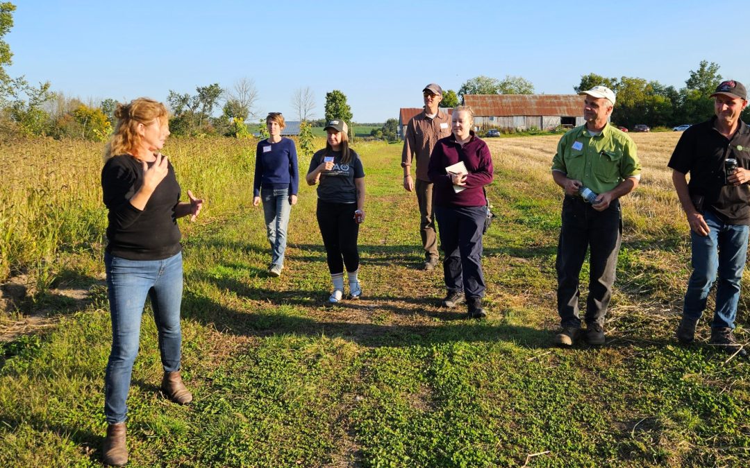 Soil Connections at Springfield Farm