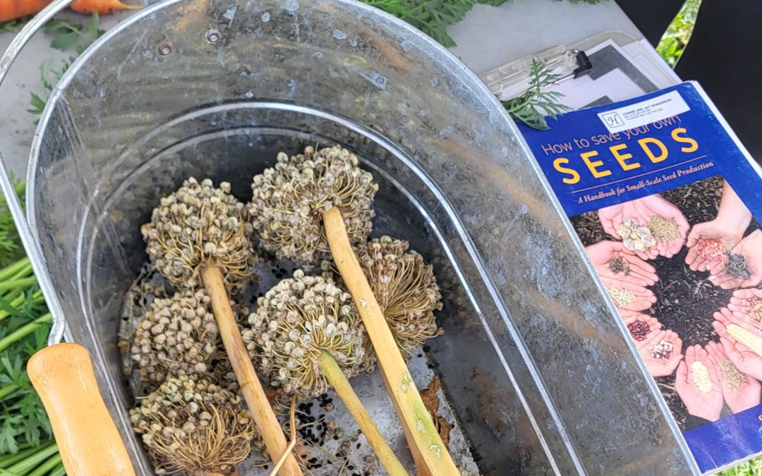September Seed Growers Meet-up