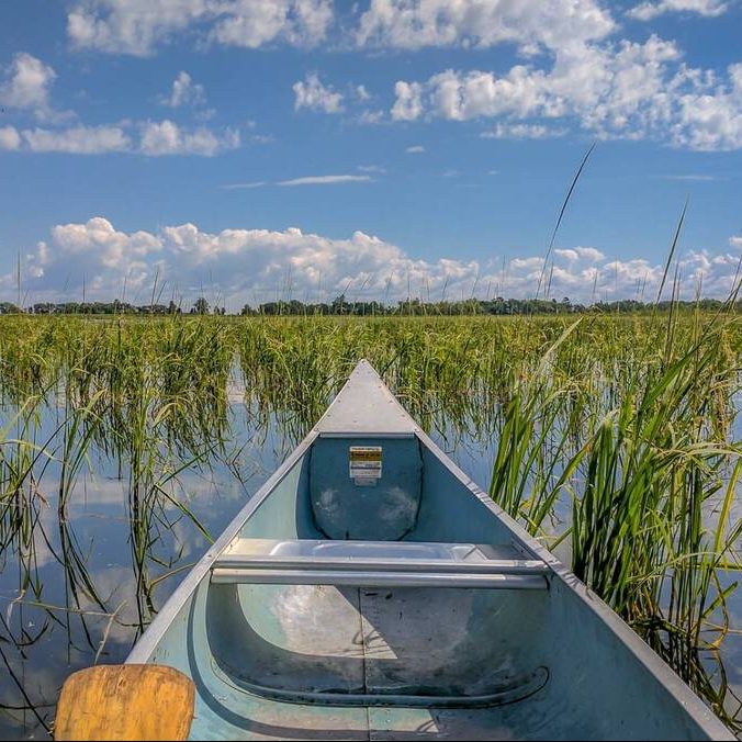 Photo of Dr. Allen Williams on a field holding grass