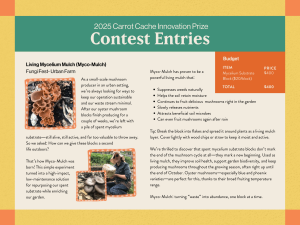As a small-scale mushroom producer in an urban setting, we're always looking for ways to keep our operation sustainable and our waste stream minimal. After our oyster mushroom blocks finish producing for a couple of weeks, we're left with a pile of spent mycelium substrate-still alive, still active, and far too valuable to throw away. So we asked: How can we give these blocks a second life outdoors? That's how Myco-Mulch was born! This simple experiment turned into a high-impact, ow-maintenance solution for repurposing our spent substrate while enriching our garden. Myco-Mulch has proven to be a powerful living mulch that: • Suppresses weeds naturally • Helps the soil retain moisture • Continues to fruit delicious mushrooms right in the garden • Slowly releases nutrients • Attracts beneficial soil microbes • Can even fruit mushrooms again after rain Tip: Break the block into flakes and spread it around plants as a living mulch layer. Cover lightly with wood chips or straw to keep it moist and active. We're thrilled to discover that spent mycelium substrate blocks don't mark the end of the mushroom cycle at all--they mark a new beginning. Used as living mulch, they improve soil health, support garden biodiversity, and keep producing mushrooms throughout the growing season, often right up until the end of October. Oyster mushrooms especially blue and phoenix varieties are perfect for this, thanks to their broad fruiting temperature range. Myco-Mulch: turning "waste" into abundance, one block at a time.