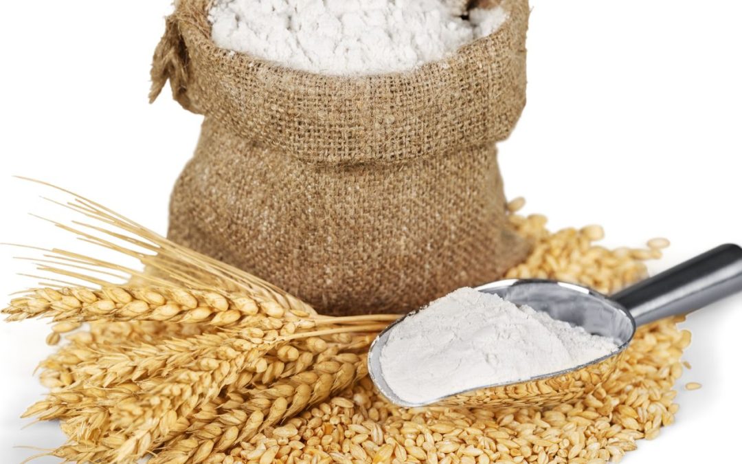 Quality Testing for Marketing Specialty and Organic Grains