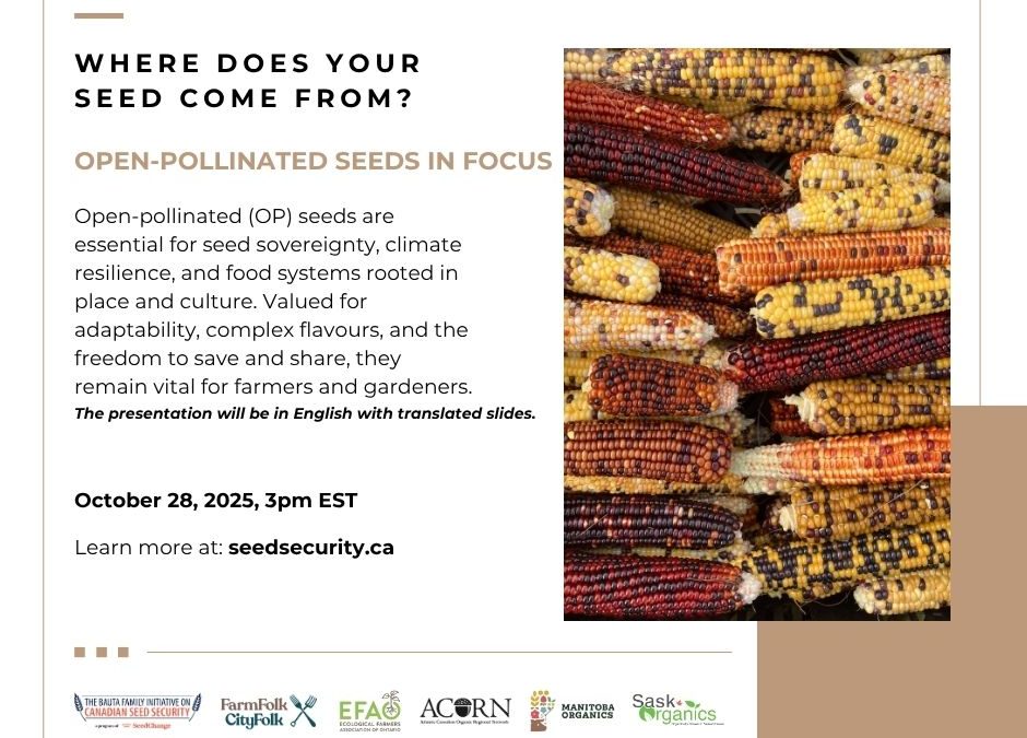 Behind the Packet: Open-Pollinated Seeds in Focus