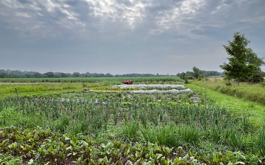 Introduction to ecological growing