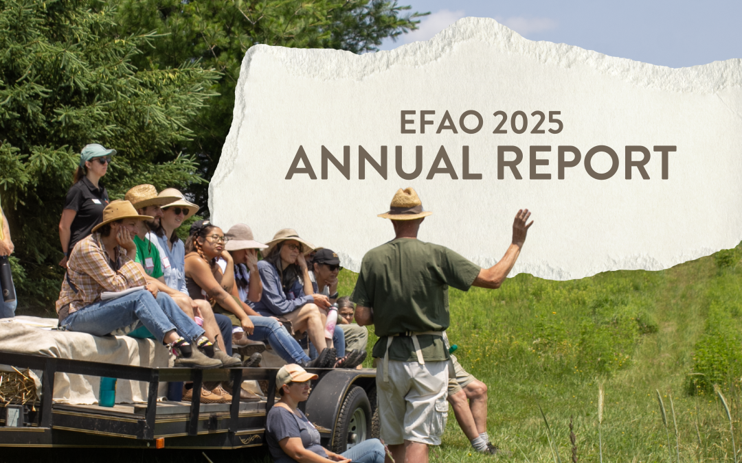 EFAO 2025 Annual Report