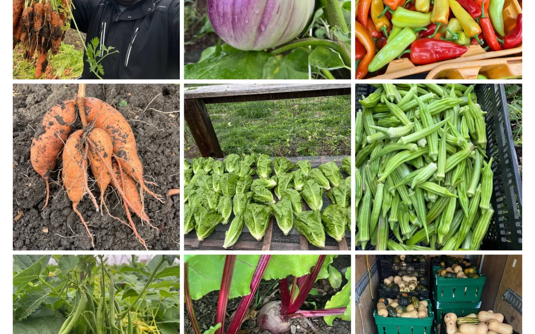 April BIPOC Farmers Network Meet-up