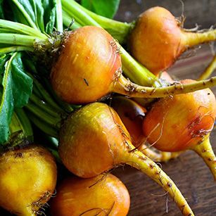 A bunch of vibrant golden beets sits on a dark brown surface