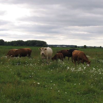 Ecological Outcome Verification at Meeting Place Organic Farm