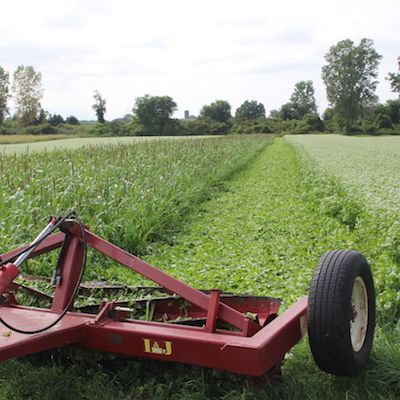 No-till Vegetable Meet-up