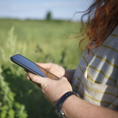 A person with long red hair stands in a field holding a cell phone in their hands, which they are looking down at