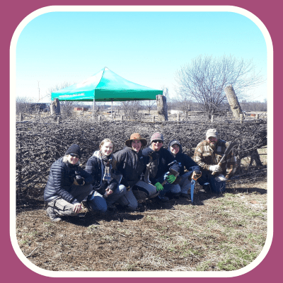 Hedgerows and Hedgelaying in North America