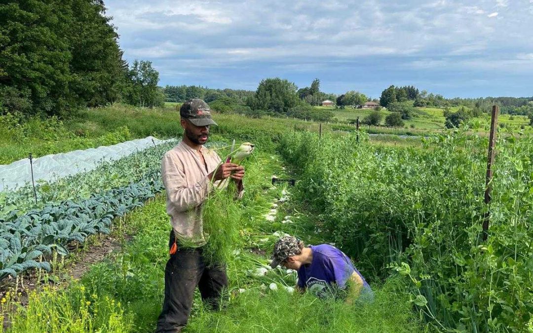 Veggie Talk at County Left Farm & It’s Giving Farm