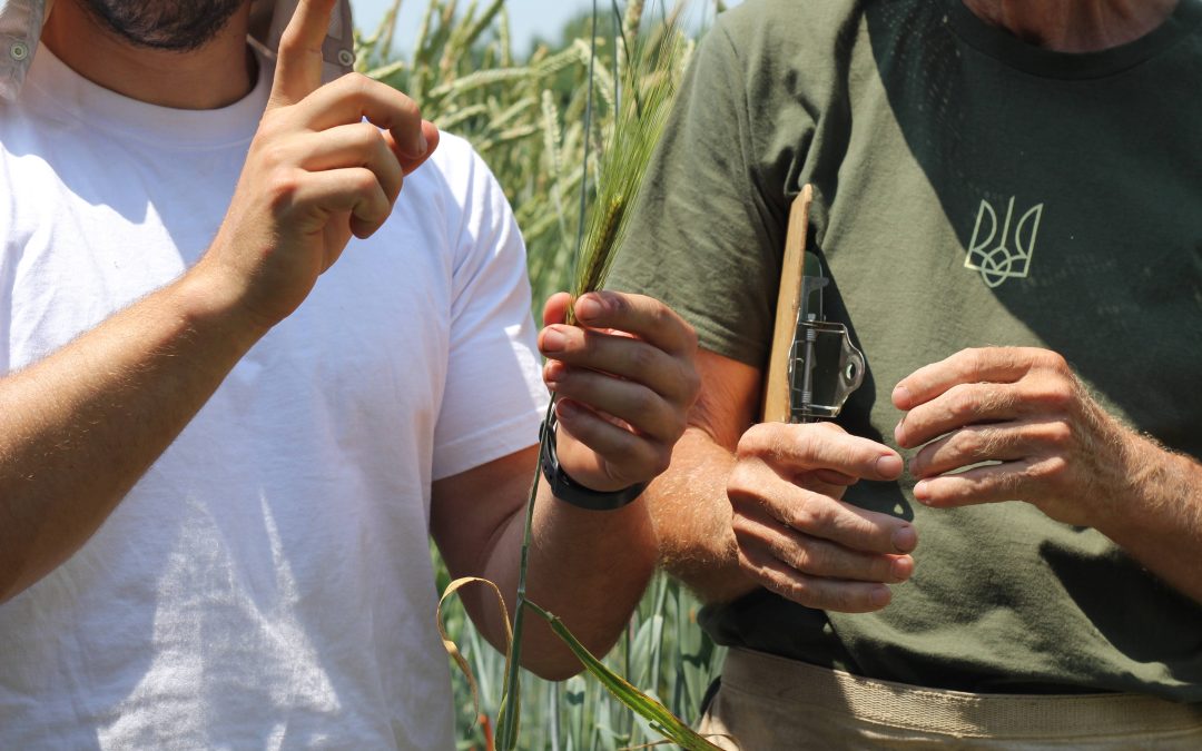 Farmer-Led Research Program Office Hours
