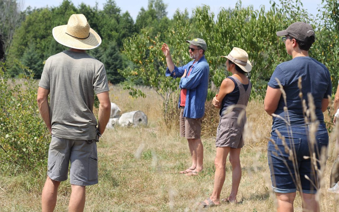 Soil Health in the Orchard