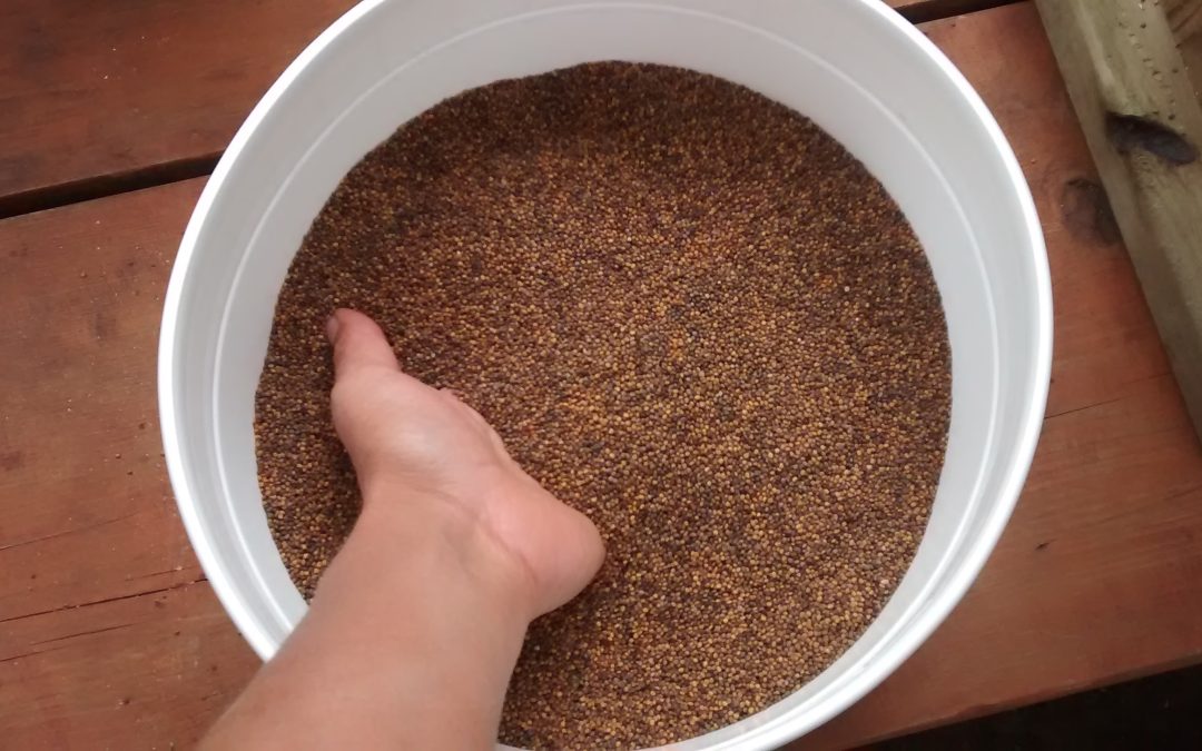 October Seed Growers Meet-up