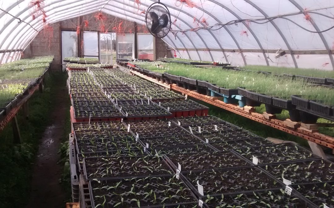 April Seed Growers Meet-up