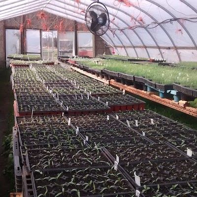 April Seed Grower Meet-Up