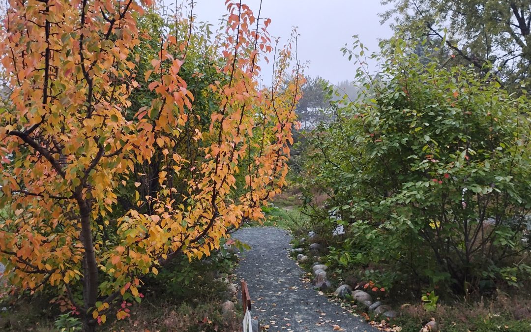 Winter Is Coming: Preparing Your Food Forest for the Cold