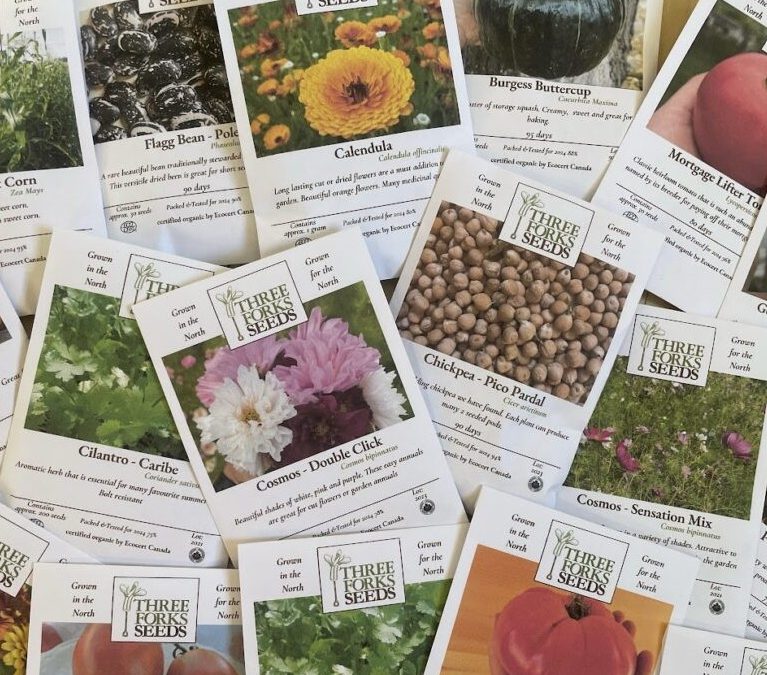 Exploring a New Enterprise Webinar Series with Ignatius Farm: Starting a Seed Production Enterprise