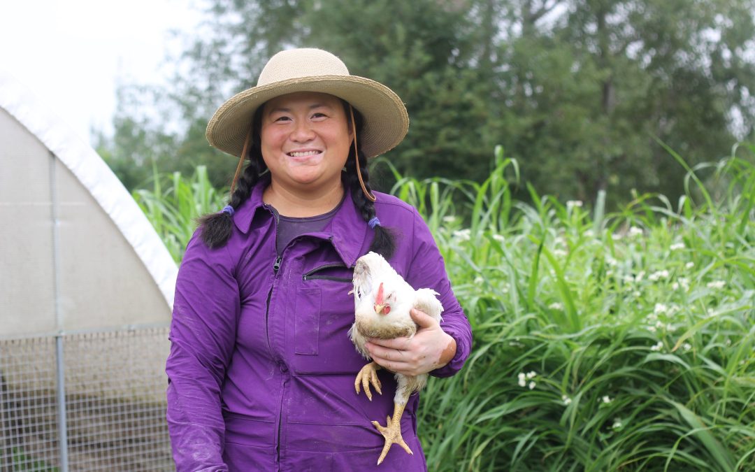 Plant and chicken available nitrogen from cover crops