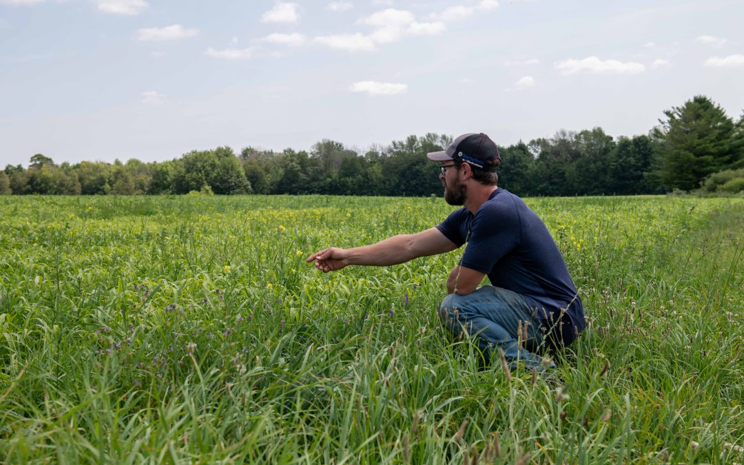 Regenerative Grazing at Timberline Farm