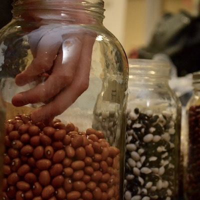 Bean seeds in jars
