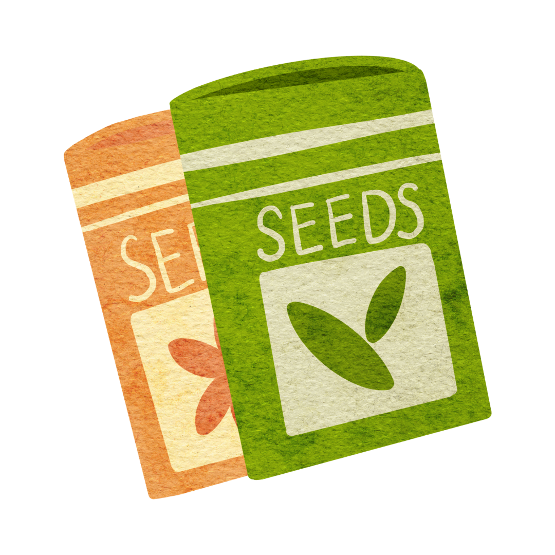 Photo of Seeds packages