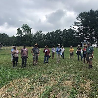 Advancing Reduced Tillage for Organic Vegetable Production: Lessons Learned from a Living Lab