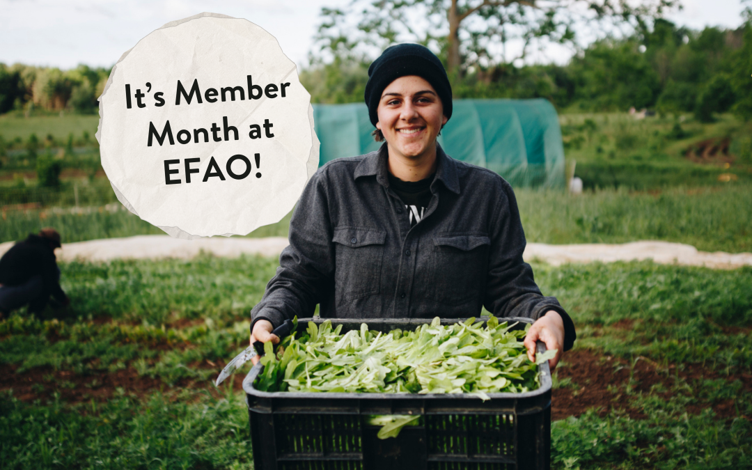 Win a 2026 EFAO Conference Pass!