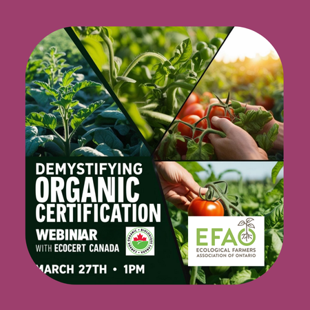 Demystifying Organic Certification