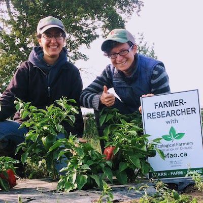 Two smiling farmers crouch in front of a red pepper plant, holding an EFAO Farmer-led Research sign