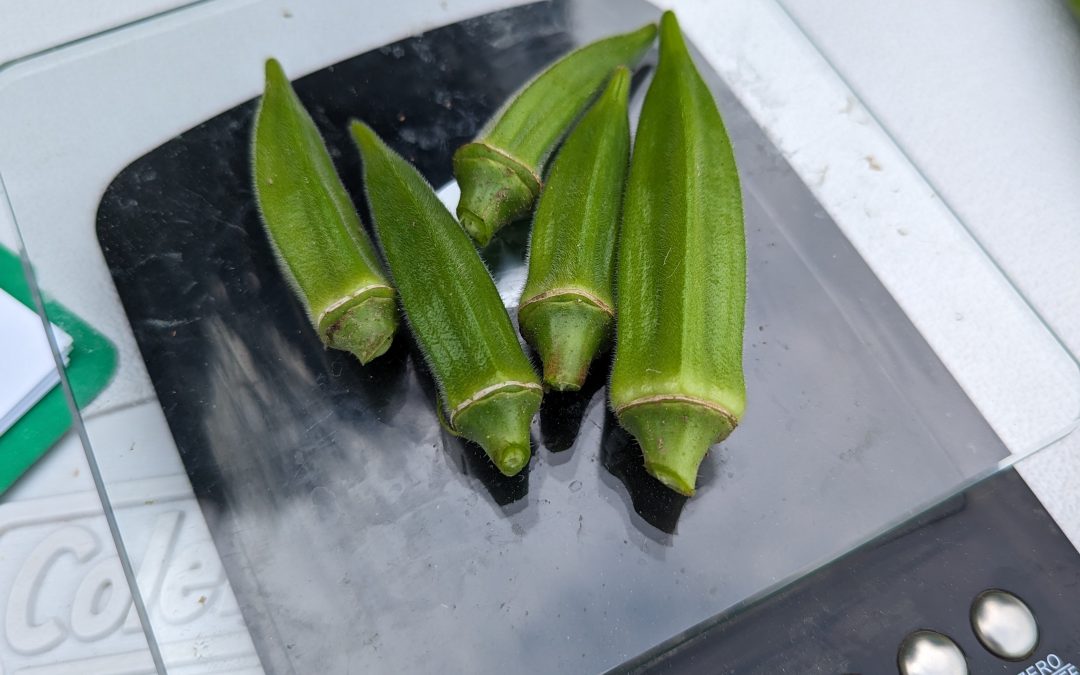 Grow Guides for Okra and Bitter Melon