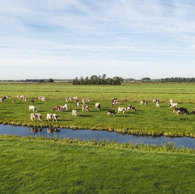 Water Resilience in a Changing Climate / Réunion informelle sur la gestion de l’eau dans un climat en évolution