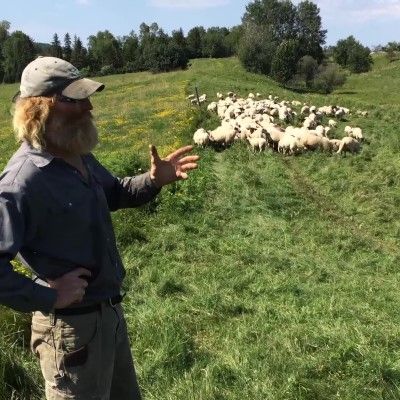 Pasture Management for Sheep at Pasture Hill Farm