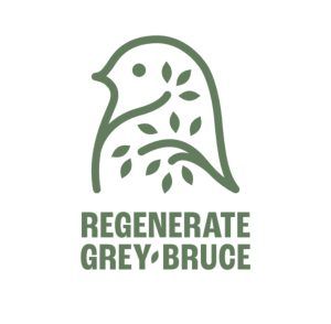 Stylized logo of a bird with leaves growing inside of it, for Regenerate Grey Bruce 