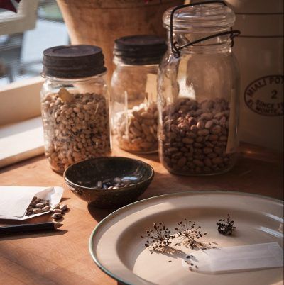 Three jars of seeds sit on a wooden table near a window. A plate with several seeds sits in the foreground