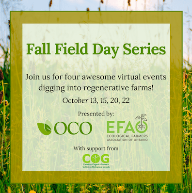 Fall Field Day Series