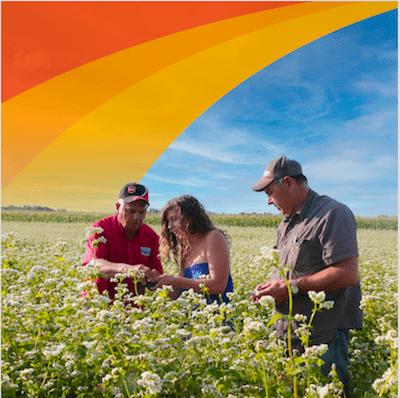 Three people stand in a field of flowering buckwheat under a blue sunny sky. A stylized orange wave runs across the top left of the image.