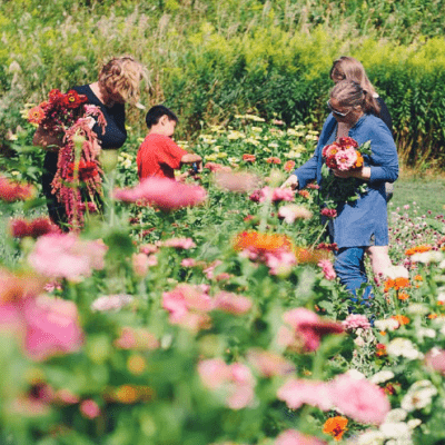 Flower Farming in Ontario: Pursuing the Dream