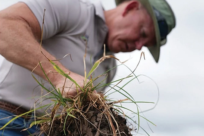 Photo of Dr. Allen Williams on a field holding grass