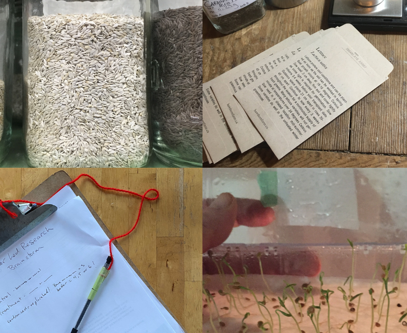 January Seed Growers Meet-up