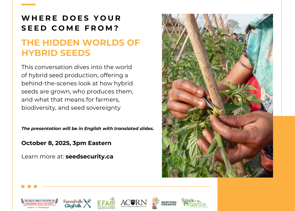Behind the Packet: The Hidden Worlds of Hybrid Seeds